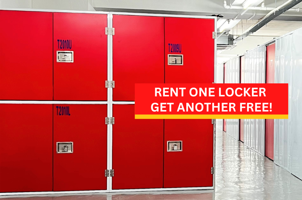 Rent one & free